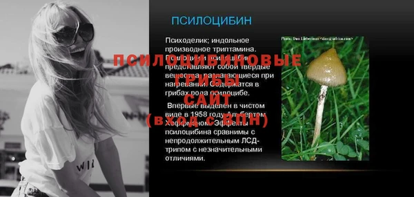 герыч Ладушкин