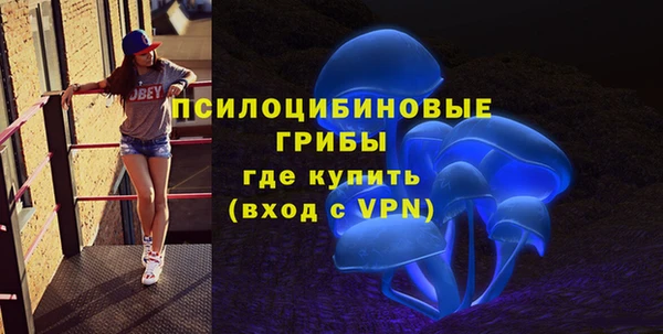 герыч Ладушкин
