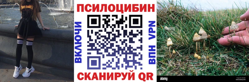 Псилоцибиновые грибы GOLDEN TEACHER  Ухта 