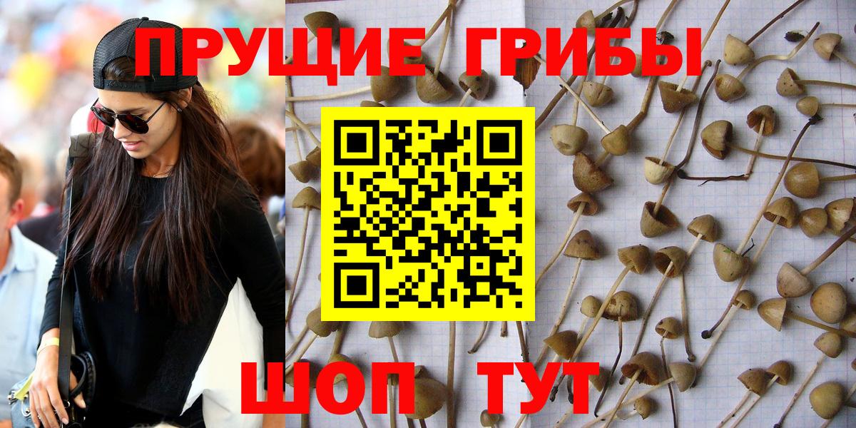 Галлюциногенные грибы мухоморы Ухта