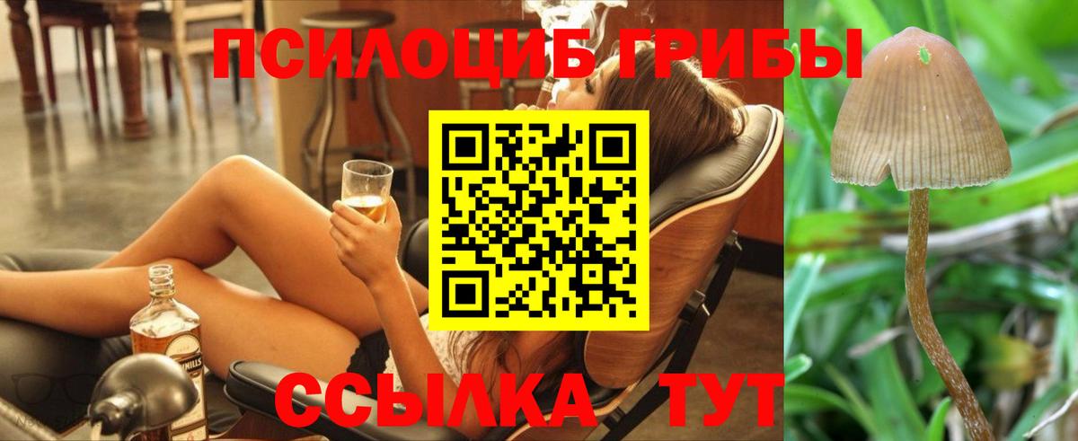 Галлюциногенные грибы мицелий  Галлюциногенные грибы GOLDEN TEACHER  Вход с VPN  Ухта 